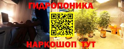 ALPHA PVP Партизанск