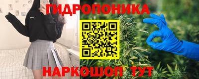 ECSTASY Пенза
