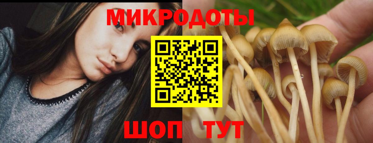 наркота  Вход с VPN  Саяногорск  Галлюциногенные грибы Psilocybe 